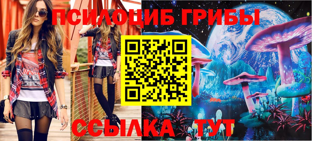 Псилоцибиновые грибы Psilocybe  Вход с VPN  Галлюциногенные грибы Psilocybine cubensis  Ртищево 